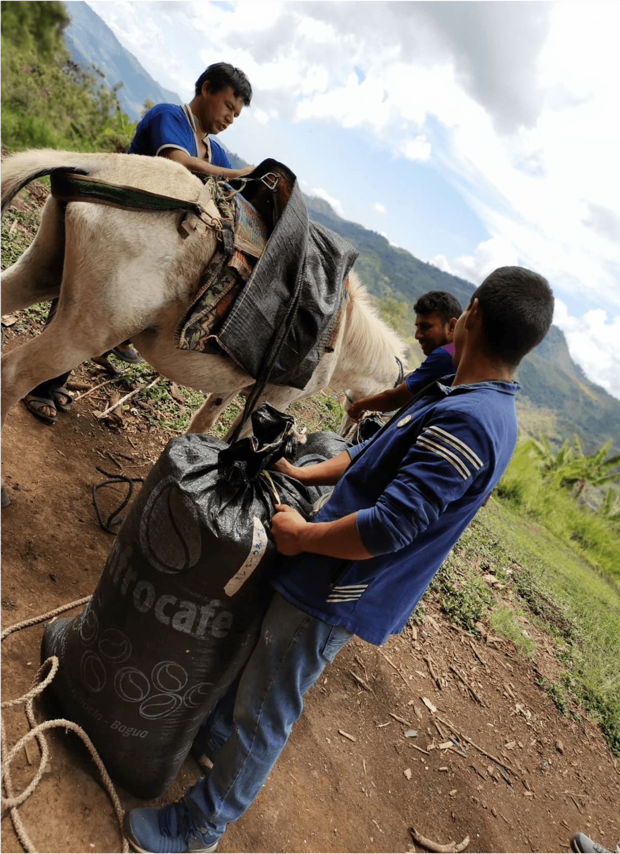 La Palma, Peru - 72 hour fermented by Roasting House