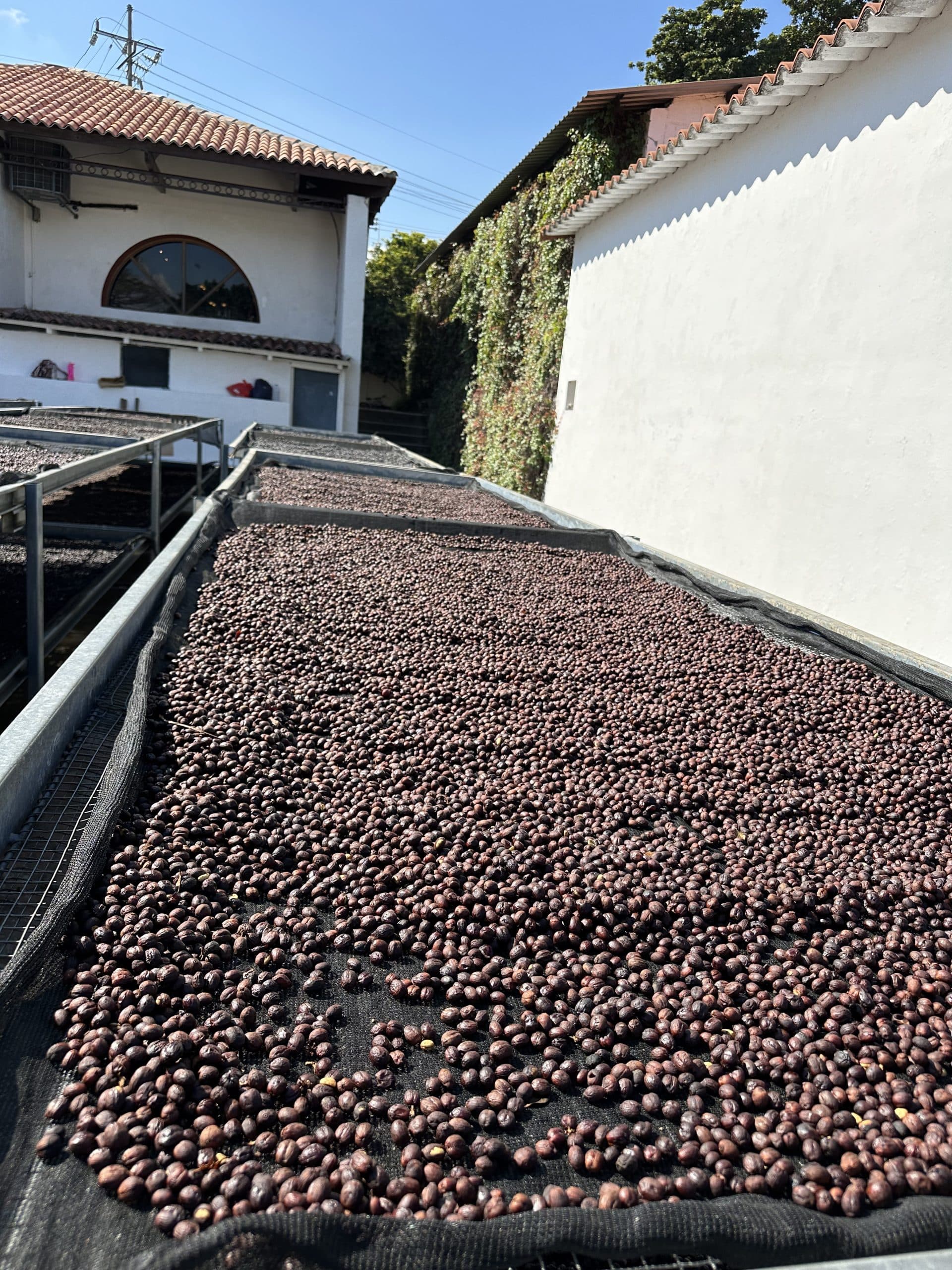 La Reforma, El Salvador by Roasting House