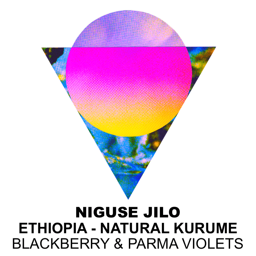 Niguse Jilo - Ethiopia by Ancoats