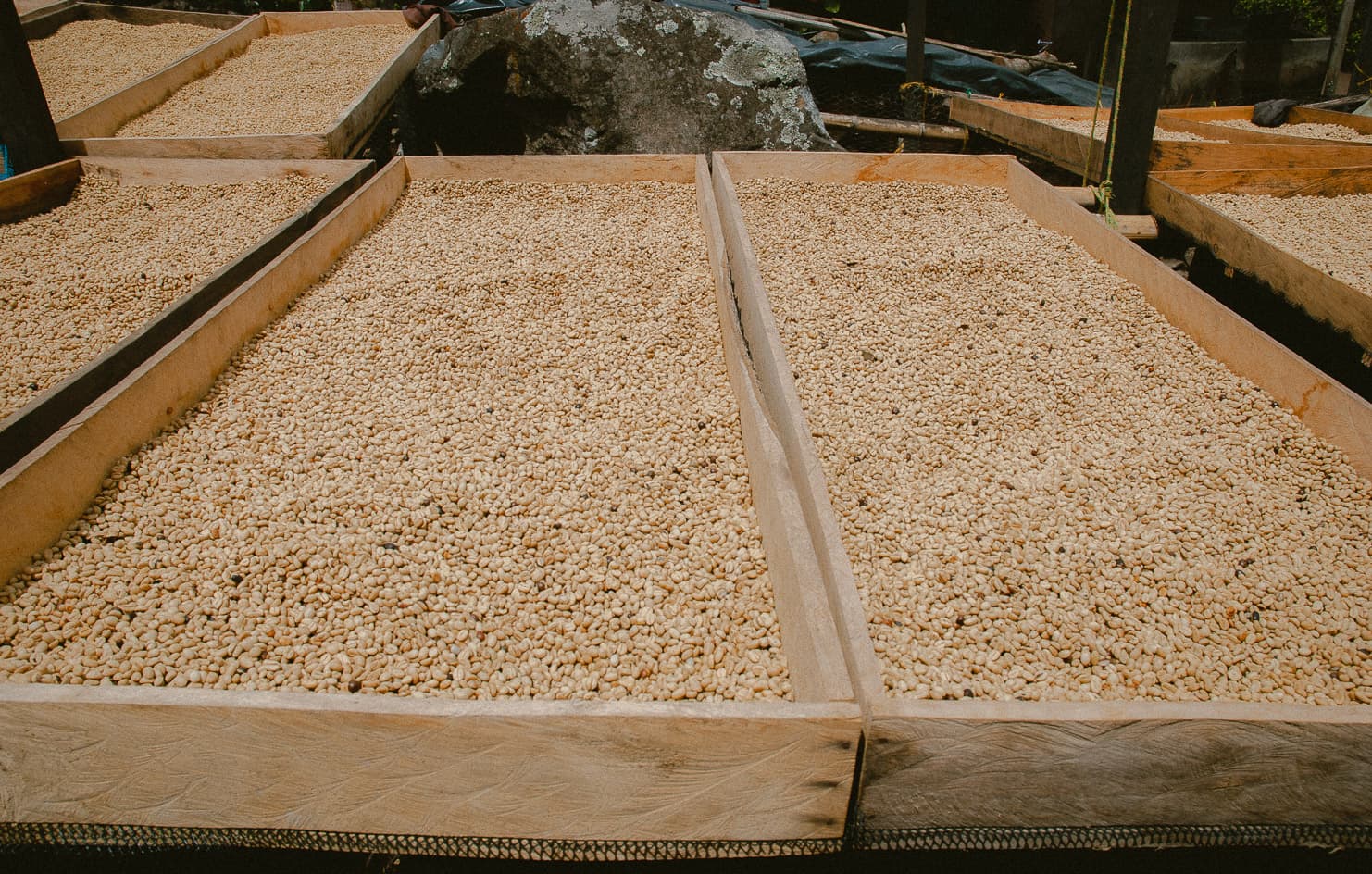 Finca Galeras by Monmouth Coffee Company