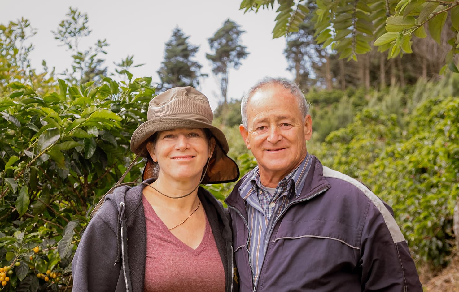 Finca El Cedral by Monmouth Coffee Company
