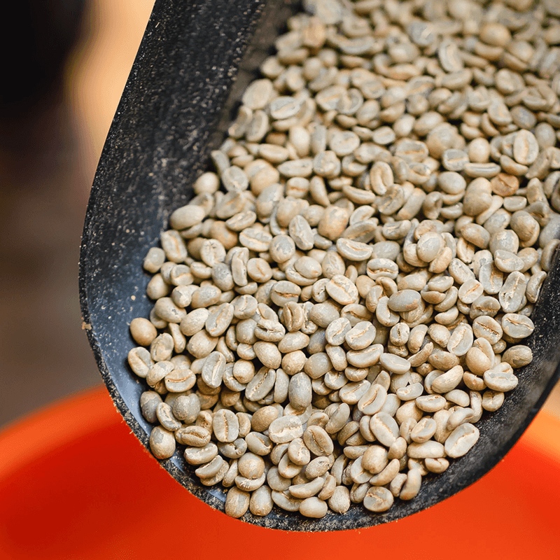 Green Coffee (Raw) by The Roasting Project
