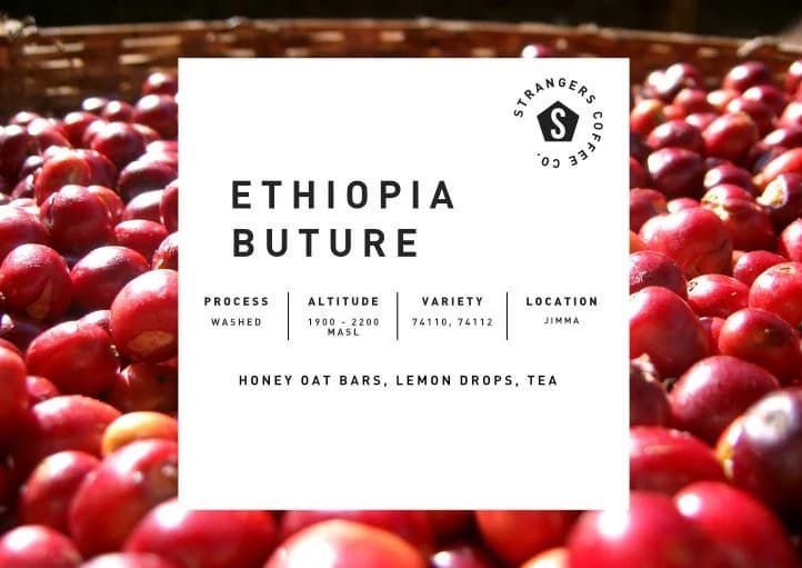 Ethiopia Buture Washed by Strangers Coffee