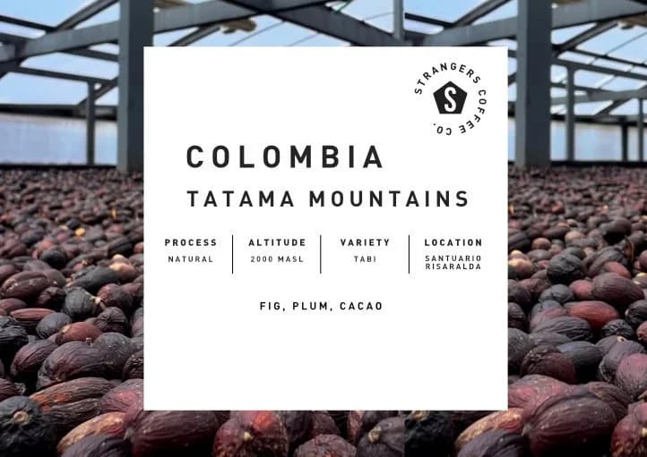 Colombia Tatama Mountains Natural by Strangers Coffee