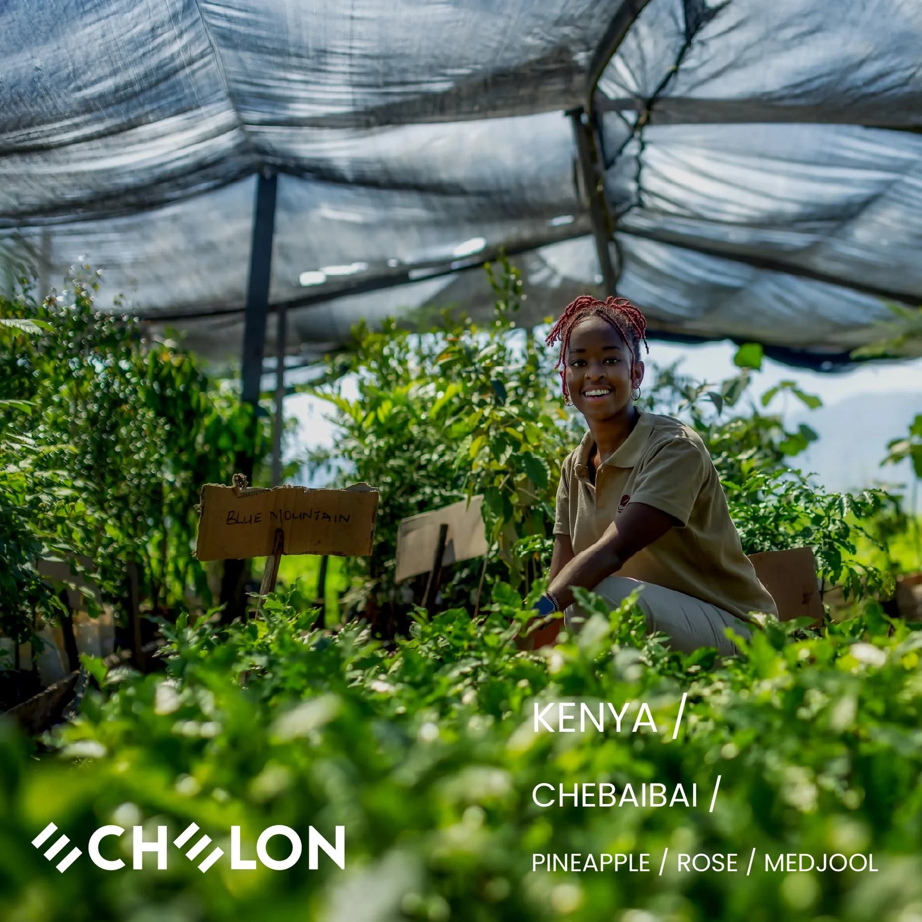 Kenya - Chebaibai anaerobic by Echelon