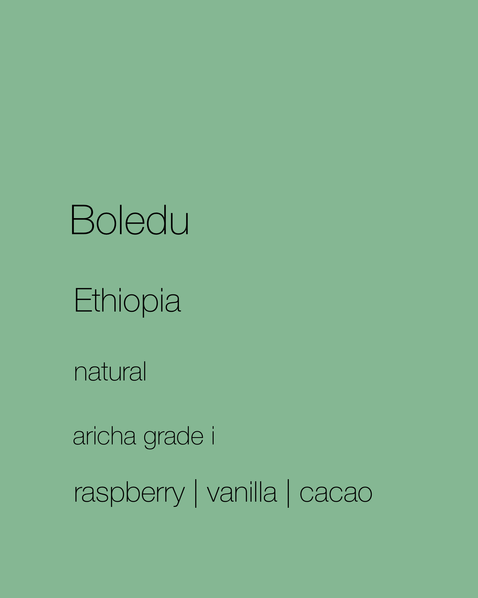 Ethiopia - Boledu Coffee | Natural Sun Dried | Aricha Grade 1 by Lars & Margo