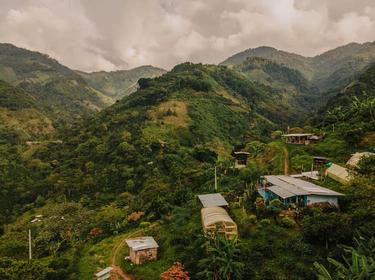 Colombia - Gaitania - Anaerobic Natural by Jolly Bean