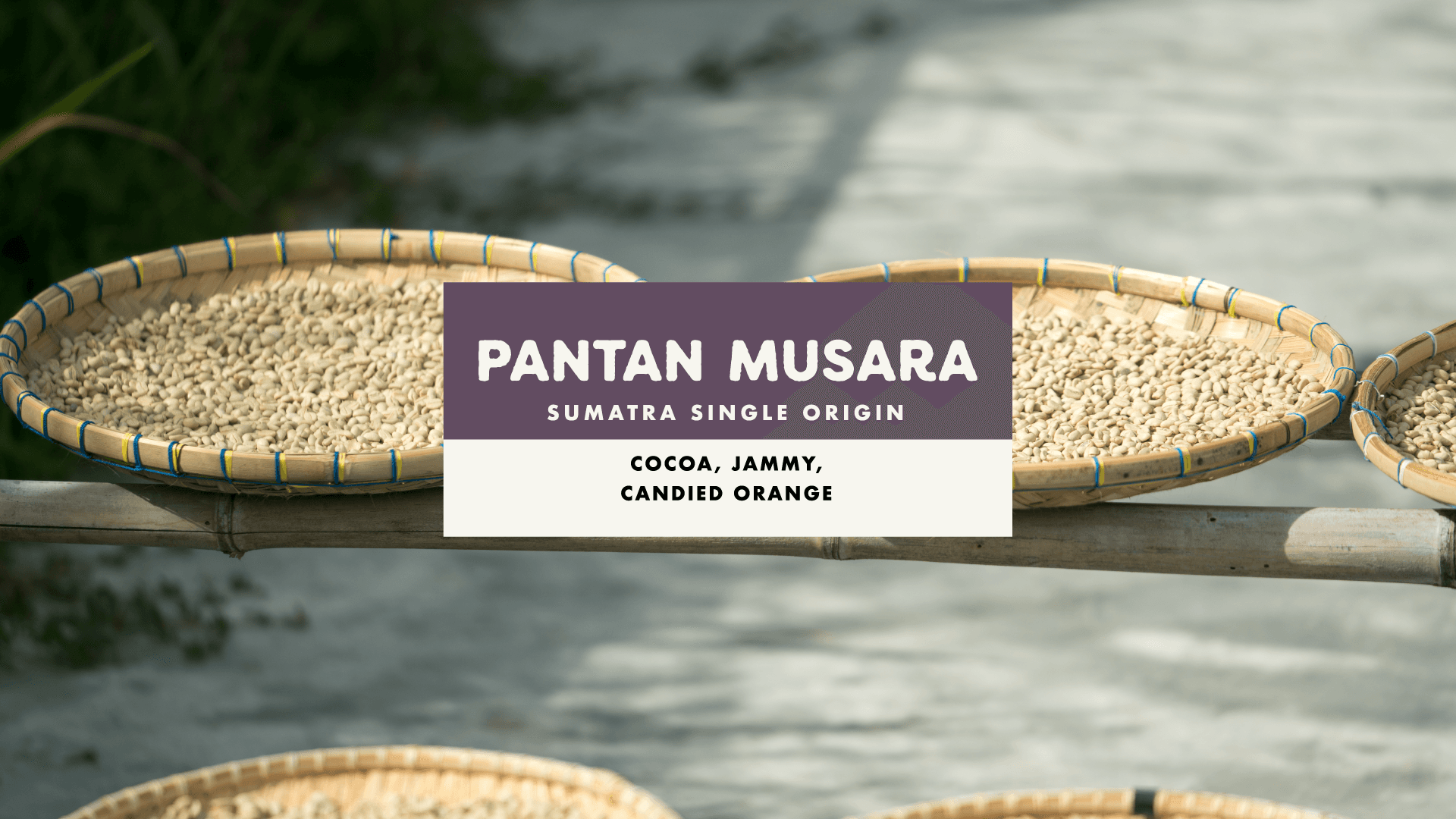 Pantan Musara Natural by Foundation