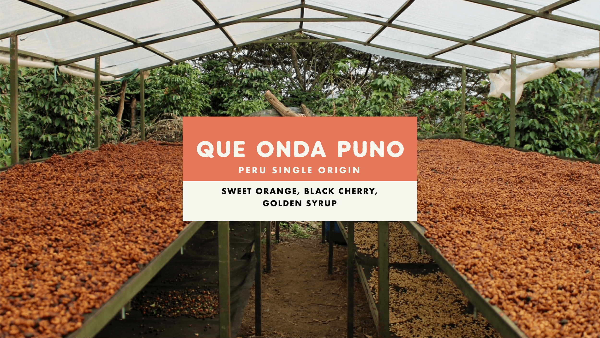 Que Onda Puno by Foundation