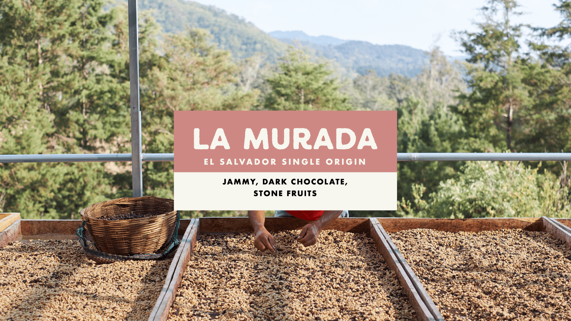 La Murada by Foundation