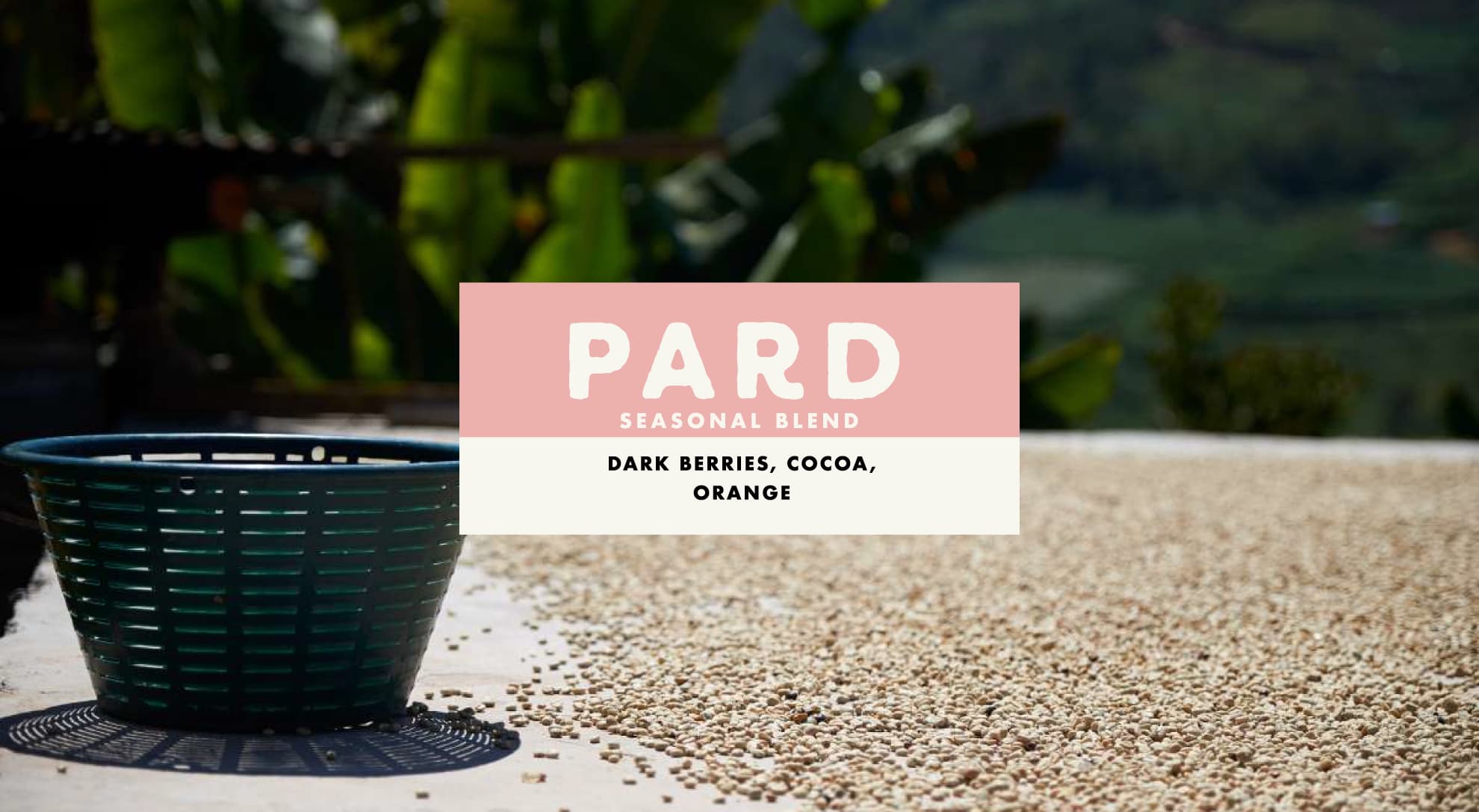 Pard by Foundation