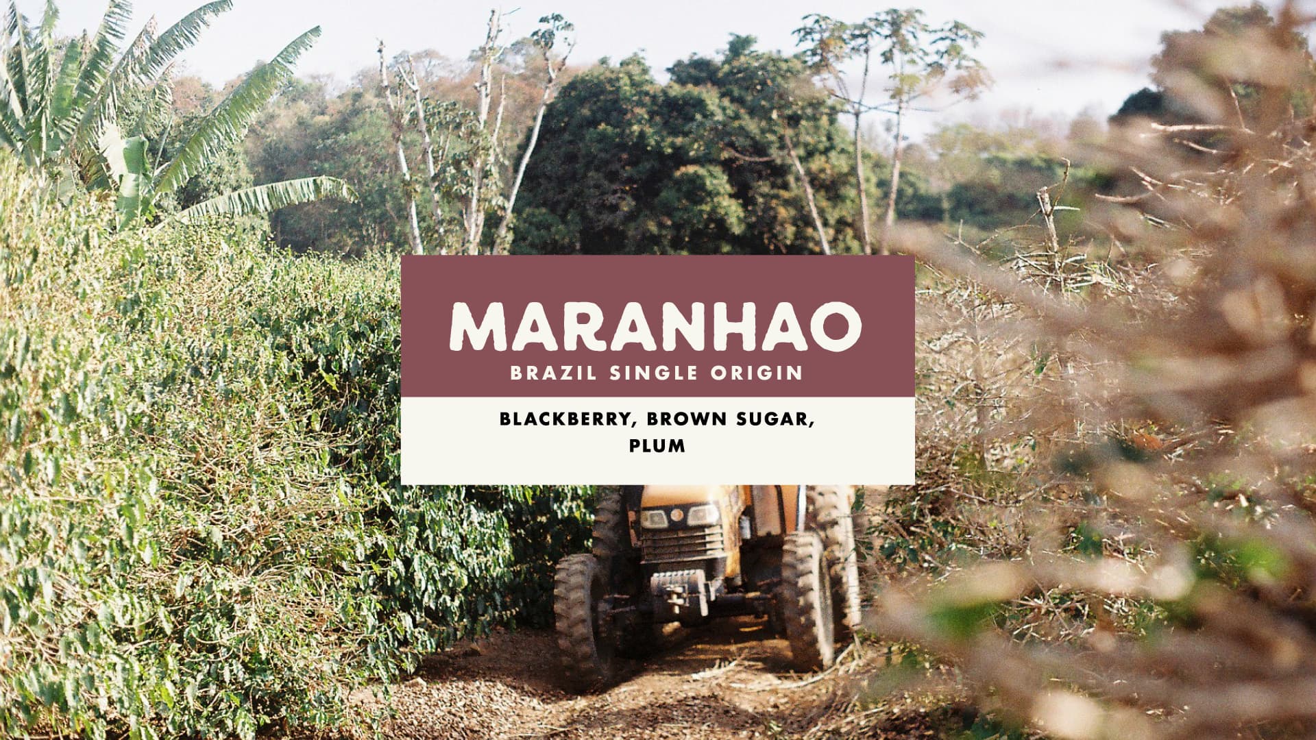 Maranhao by Foundation