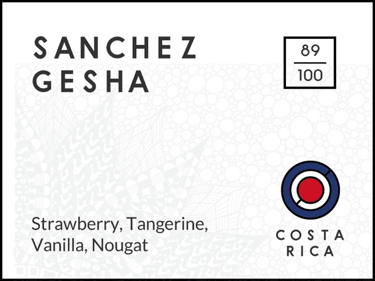 Sanchez Gesha, Costa Rica by Long & Short