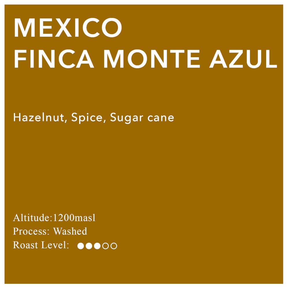 Mexico Finca Monte Azul by Adams & Russell